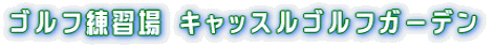 �L���b�X���S���t�K�[�f���C���t�H���[�V���� 